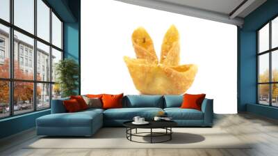 Fried Stuffed Wontons on a White Background Wall mural