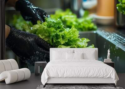 A person wearing black gloves washes fresh green lettuce leaves under running water in a stainless steel sink, emphasizing food safety and hygiene in food Wall mural