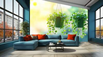 Two Green Hanging Plants with Round Leaves Wall mural