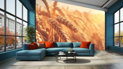 A green crop circle with geometric patterns and a close-up of wheat ears. Wall mural