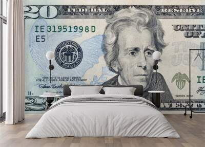 twenty dollars bill Wall mural