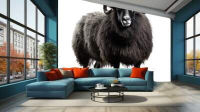 black sheep Wall mural