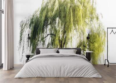 Willow Tree Wall mural