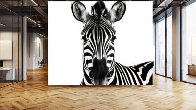 zebra isolate on background Wall mural