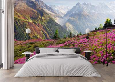 Alpine rhododendrons on the mountain fields of Chamonix Wall mural