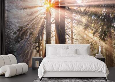 fabulous beams of the alpine forest Wall mural