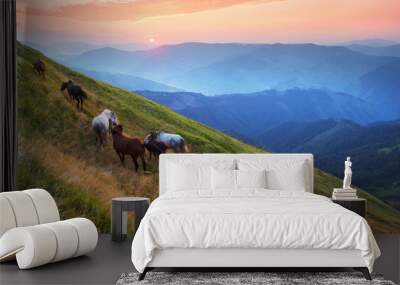 grazing wild horses Wall mural