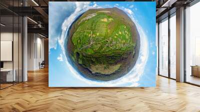 green planet earth with grass Wall mural