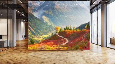 red autumn chamonix in the alps Wall mural