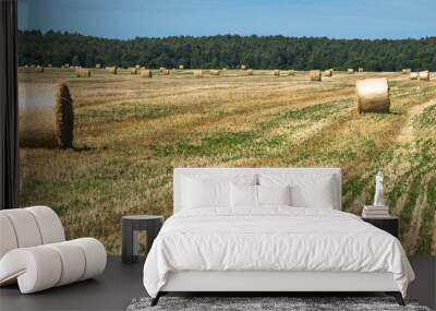 Field after harvesting wheat. A round stack of dry straw on a field in summer against a background of blue sky and trees. Wall mural