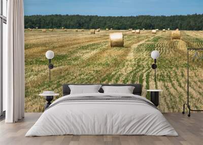 Field after harvesting wheat. A round stack of dry straw on a field in summer against a background of blue sky and trees. Wall mural