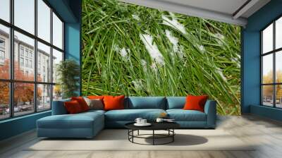 ice snow boot print on green wet autumn grass outdoor environment with fallen leaves Wall mural