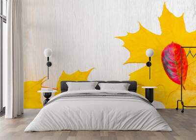 Yellow and red autumn leaves on a beautiful wooden background. A place for text. Thanksgiving Wall mural