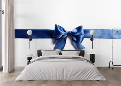 Blue bow and ribbon isolated on white background. Insulation. Wall mural