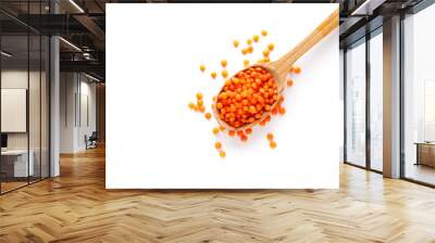 Orange lentil in a wooden spoon isolated on white background Wall mural