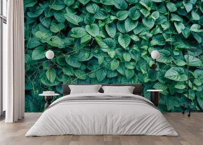 Dense vertical garden with various green plants and foliage, lush and vibrant living wall, outdoor setting. Wall mural