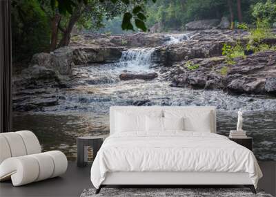 forest waterfall Wall mural