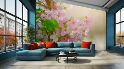 Sakura flower with green background Wall mural