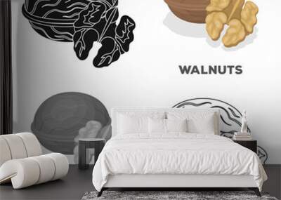 Walnats in the shell.Different kinds of nuts single icon in cartoon style vector symbol stock illustration. Wall mural