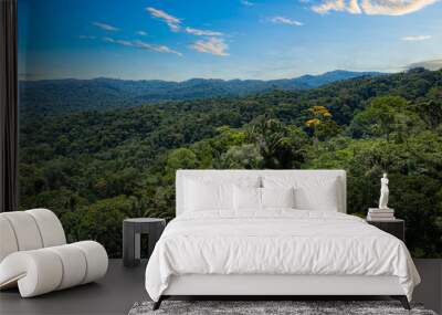 Aerial view of the amazon forest at the start of the amazon basin Wall mural