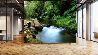 Black tropical river with large boulders and lush green vegetation Wall mural