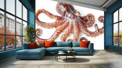 Octopus with Eight Tentacles Wall mural