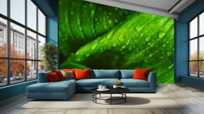 Green fresh leaves with raindrops. Close up background. Wall mural