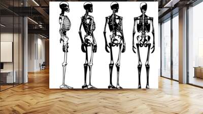 sketch drawing vector illustration of human skeleton from different sides, 