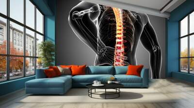 anatomy of male back pain in black Wall mural