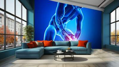 Male knee pain anatomy on blue Wall mural