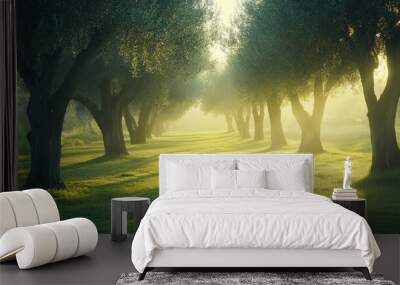 Serene Olive Grove at Dawn with Sunlight Wall mural