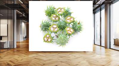 Castor oil plant on white background Wall mural