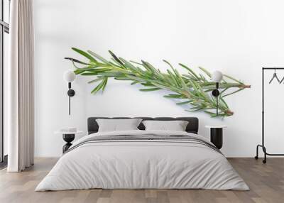 fresh rosemary isolated on white background Wall mural