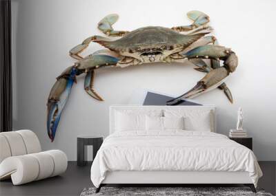 Blue crab holding mobile phone Wall mural