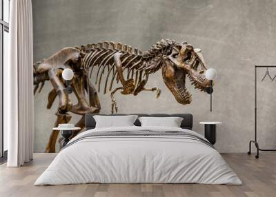 fossil skeleton of dinosaur king tyrannosaurus rex ( t-rex ) on blackboard background retro vintage  Wall mural