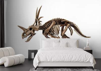 Fossil skeleton of Styracosaurus dinosaur is a genus of herbivorous ceratopsian from Cretaceous Period isolated on white background. Wall mural