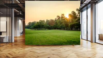 Green nature on public park Wall mural