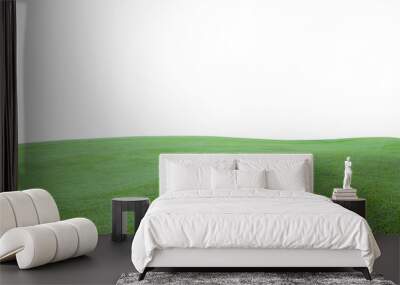 Green grass field on white background. Wall mural