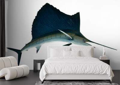 Marlin - Swordfish,Sailfish saltwater fish (Istiophorus) isolated on white background. Wall mural