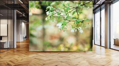 Beautiful leaves and flowers Wall mural