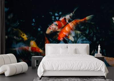 Koi fish in the pond in the garden Wall mural