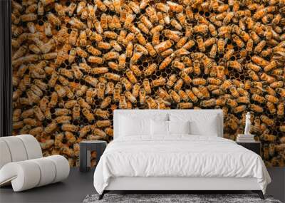 bees in the beehive Wall mural