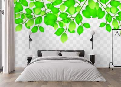 Vector design of green leaves over a white background Wall mural