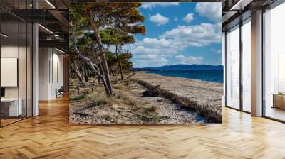 Seascape from the beach of the Sterpaia coastal park on the gulf of Follonica Tuscany Italy Wall mural