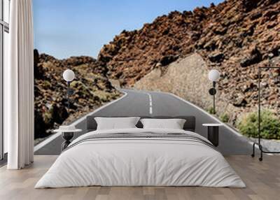 Desert road with rocks and blank signage. straight in perspective of a paved road and blue sky as horizon Wall mural