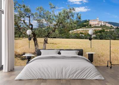 Olive trees in Assisi village in Umbria region, Italy. The town is famous for the most important Italian Basilica dedicated to St. Francis - San Francesco. Wall mural