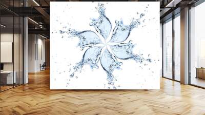 flower made of water splash Wall mural