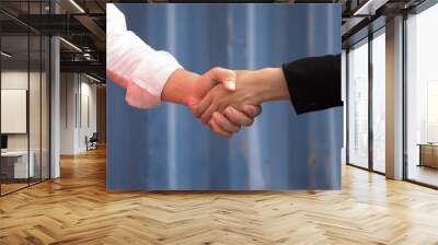 Close up Handshake success business Wall mural