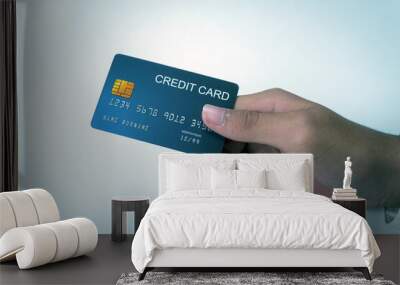 Closeup photo of credit card, card in card user's hand, payment, spending, credit card payment concept. Wall mural