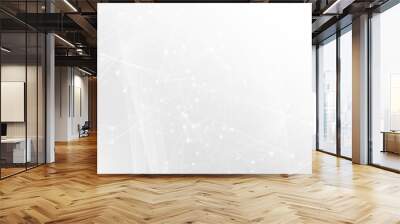 Abstract white gray polygon tech network with connect technology background. Abstract dots and lines texture background. 3d rendering. Wall mural